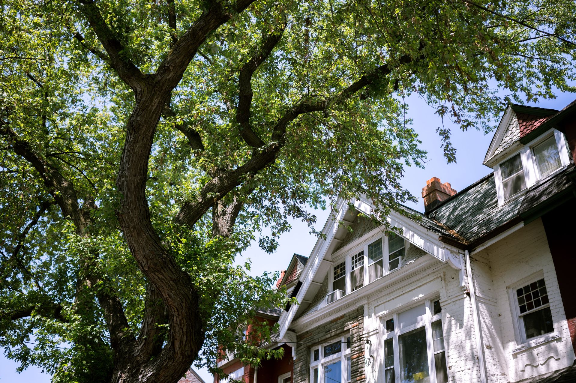 A suburban house with a tree casting shadows on its classic facade, showcasing a peaceful neighborhood.