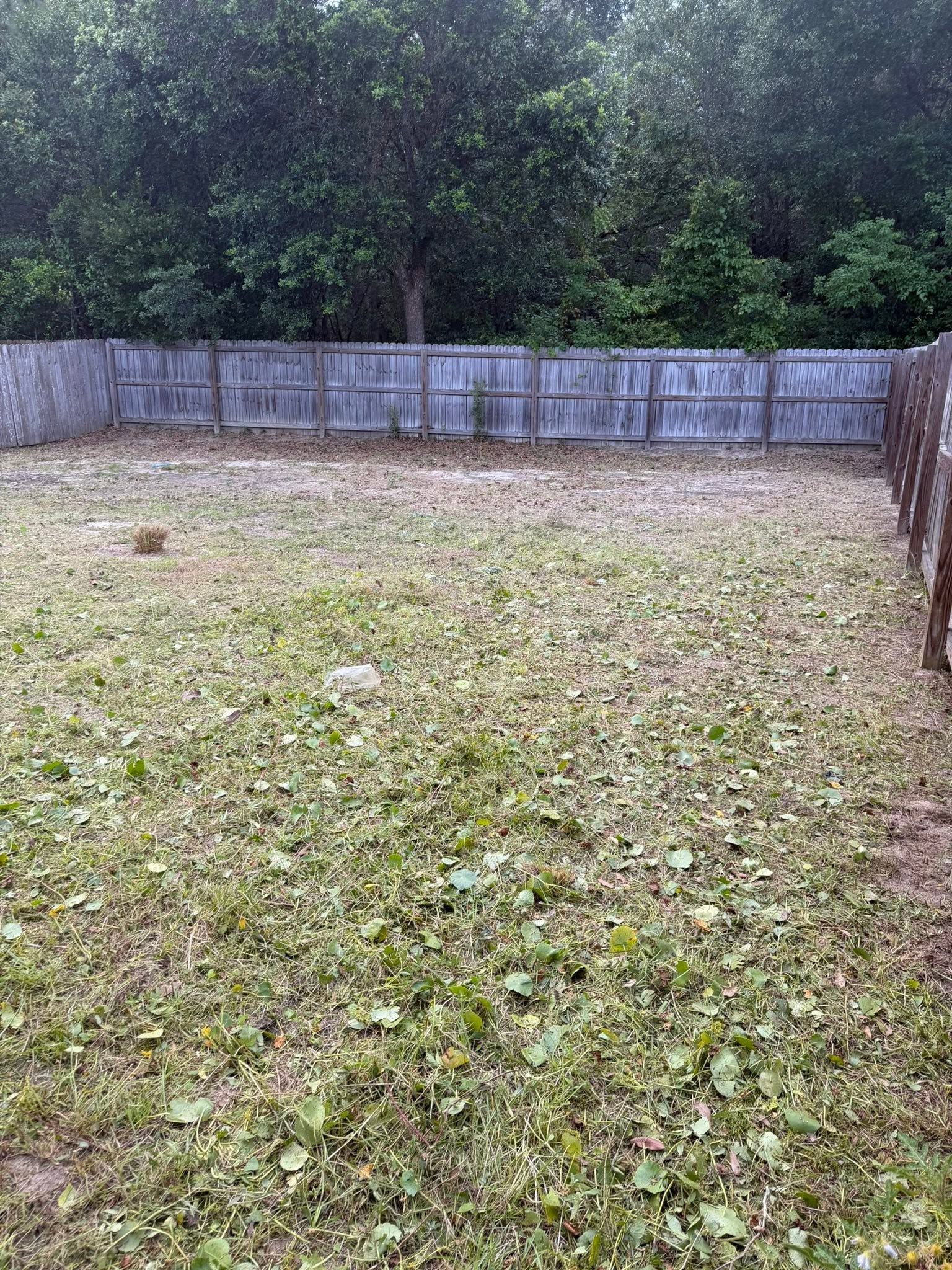 Yard Cleanup | All 4 One Property Services LLC