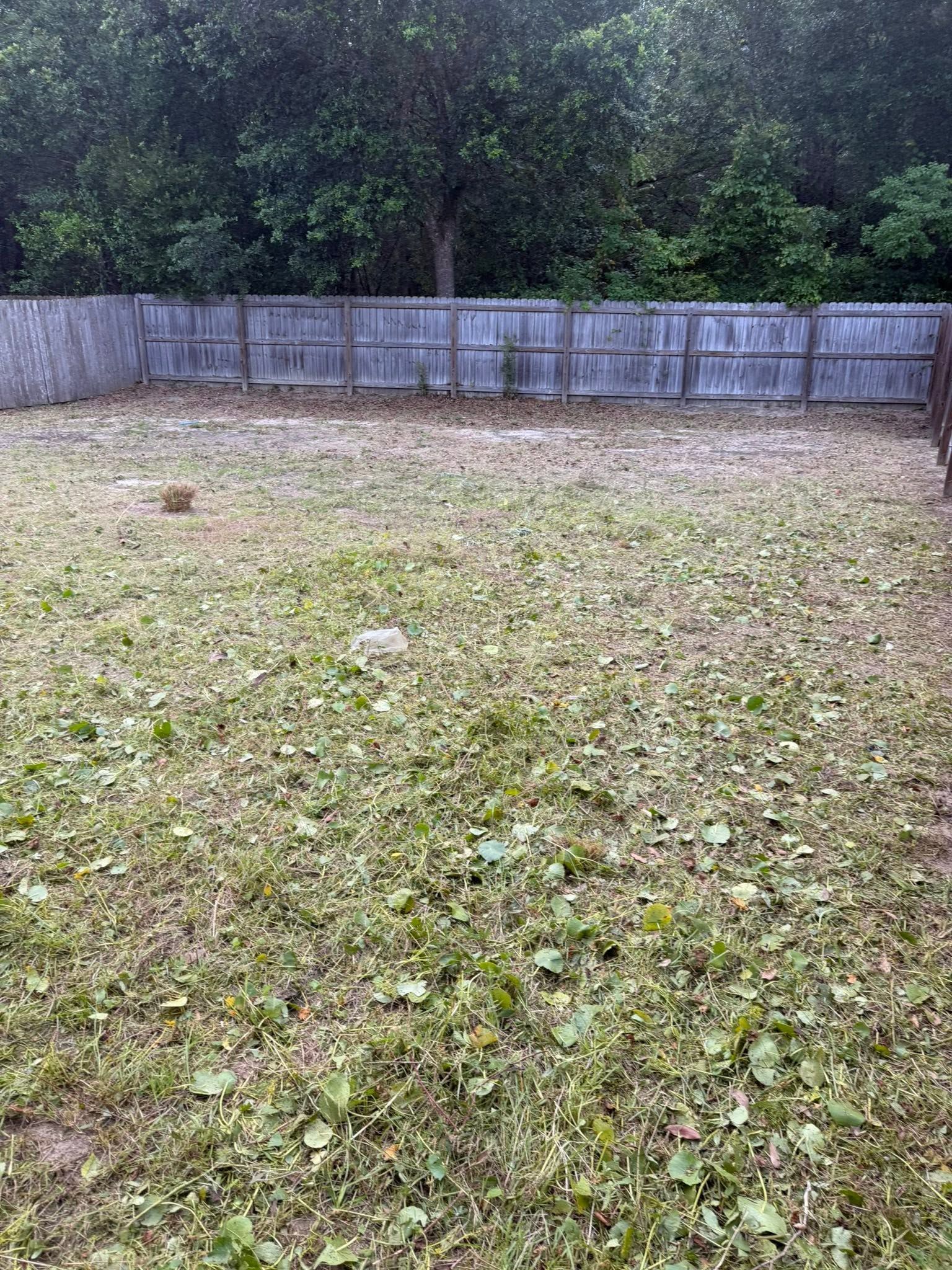 Project photo